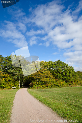 Image of Bench