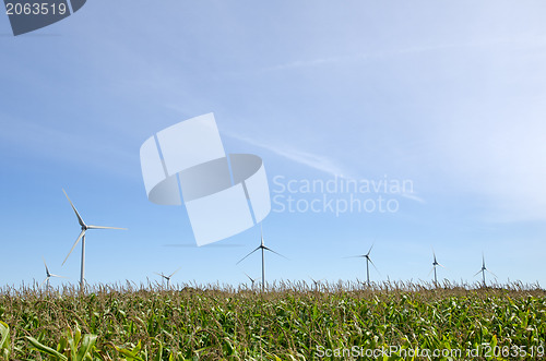 Image of Windmills at corn field