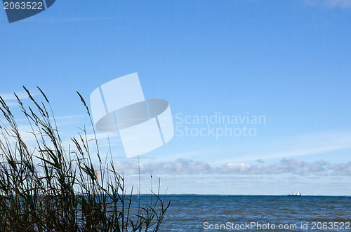 Image of Coast view