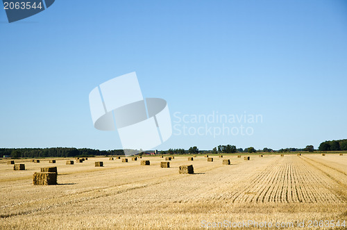 Image of Straw bales