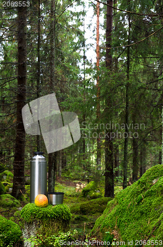 Image of Thermos in mossy forest