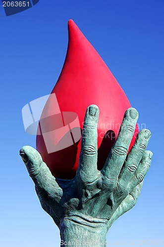 Image of  blood donor