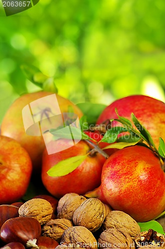 Image of Autumn fruit with chestnuts, walnuts and pomegranates 