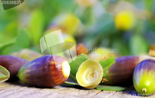 Image of  acorns on wooden background 