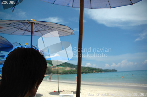 Image of Beach in paradise