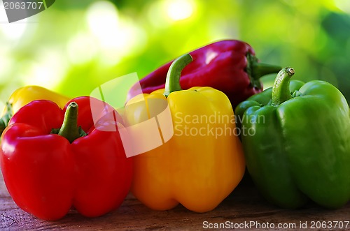 Image of red, yellow and green pepper on green background 