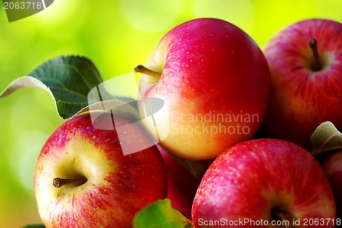 Image of ripe red apples on table