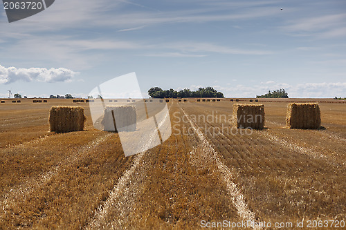 Image of Hay Bale