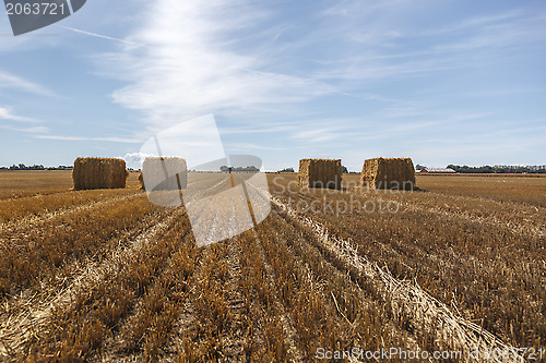 Image of Hay Bale