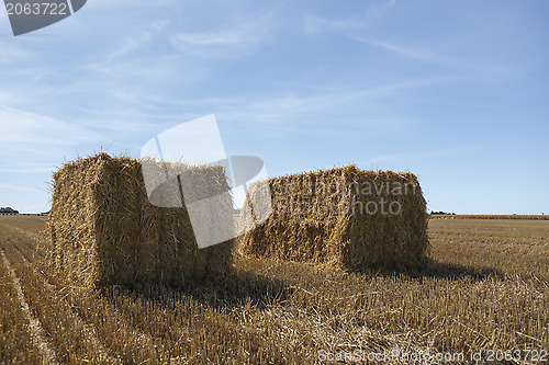 Image of Hay Bale