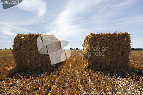 Image of Hay Bale