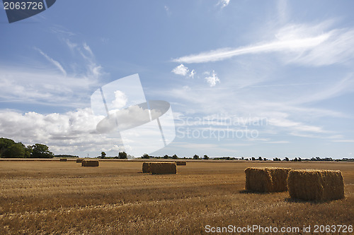 Image of Hay Bale