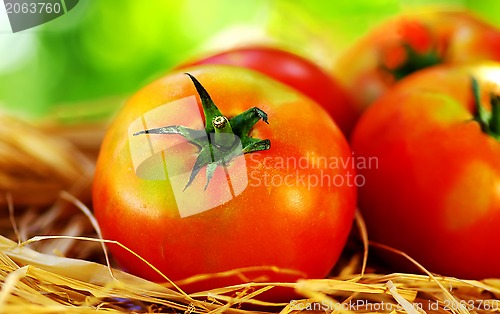 Image of Ripe tomatoes 