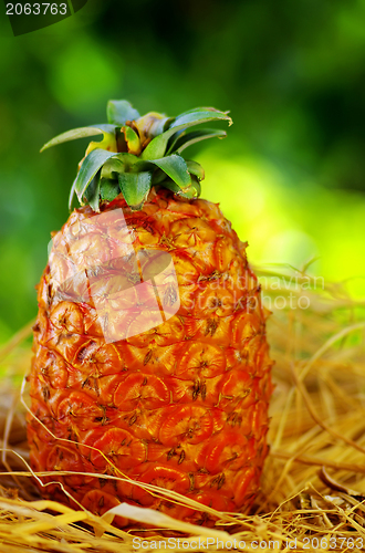 Image of Pineapple on green background