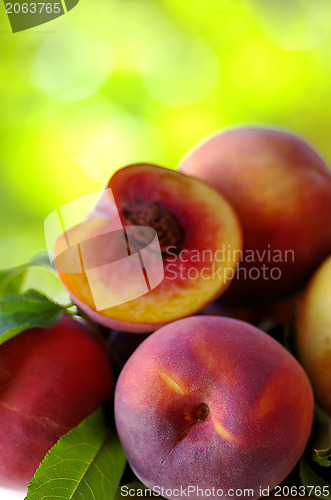 Image of Ripe peaches 