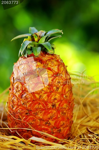 Image of Pineapple on green background