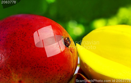 Image of Sliced mango on green background