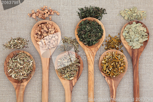 Image of Healing Herbs