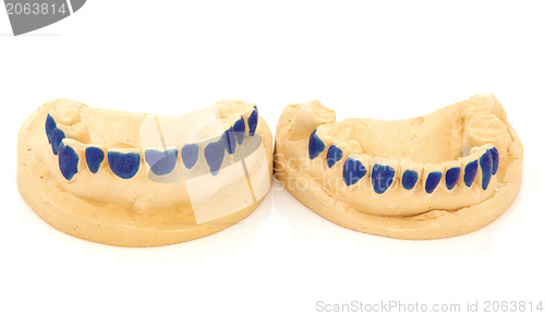 Image of Dental Teeth Mould 