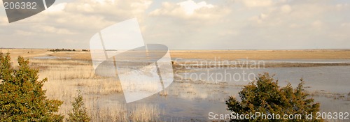 Image of Panoramic View of Marsh