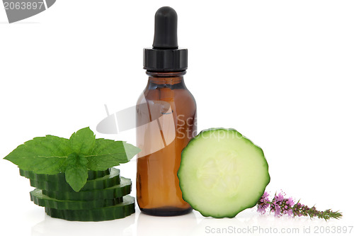 Image of Mint and Cucumber Spa