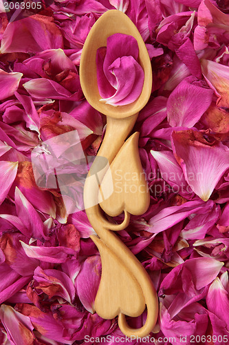 Image of Rose Petals