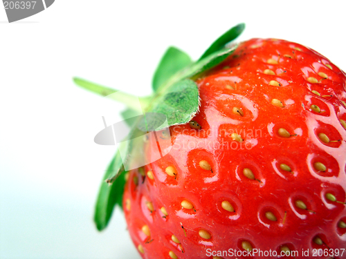 Image of Strawberry