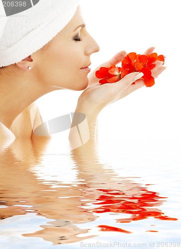 Image of red petals in water #2