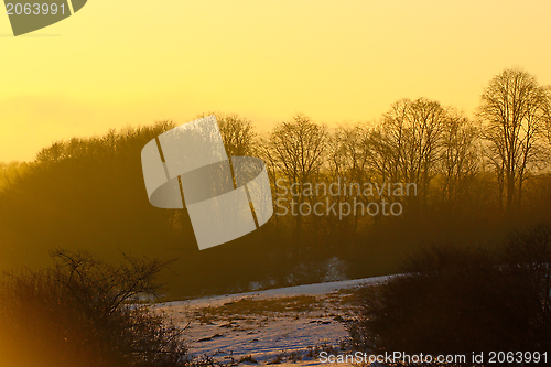 Image of morning in the field