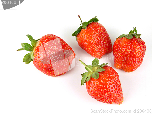 Image of Strawberry