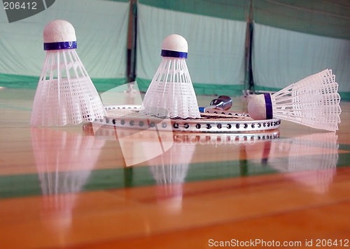 Image of Indoor badminton