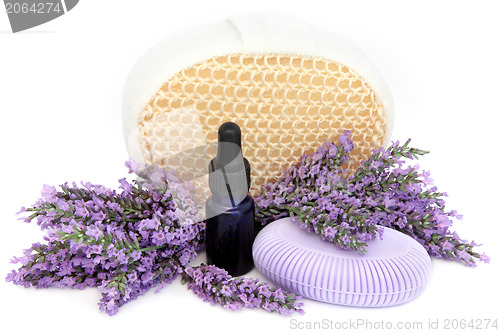 Image of Lavender Herb Products
