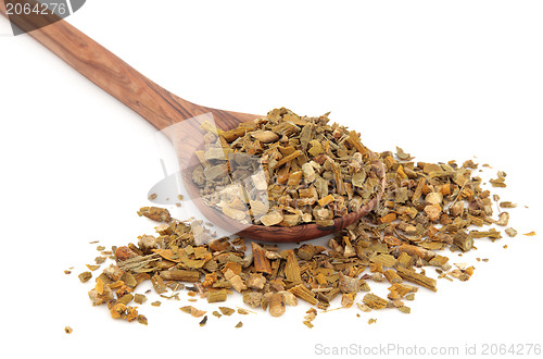 Image of Mistletoe Herb