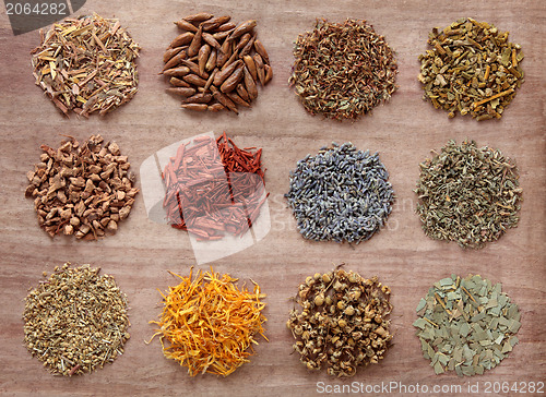 Image of Medicinal and Magical Herbs