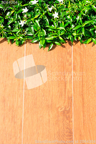 Image of green grass on wood floor