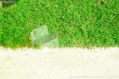 Image of green grass and white sand 