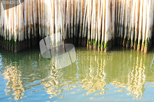 Image of Bamboo wall