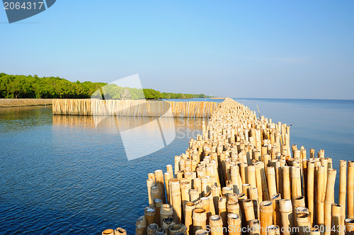 Image of Bamboo wall