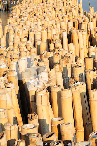 Image of Bamboo wall