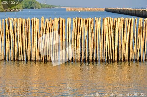 Image of Bamboo wall