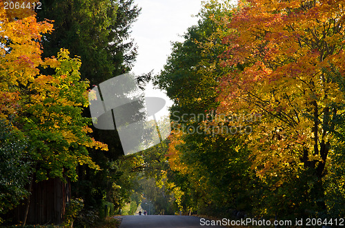 Image of Autumn road