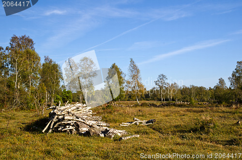 Image of Firewood