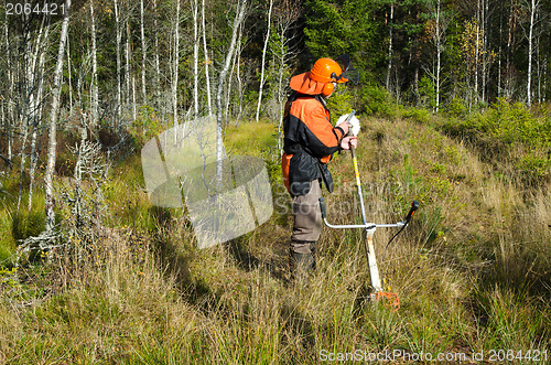 Image of Filing the sawblade