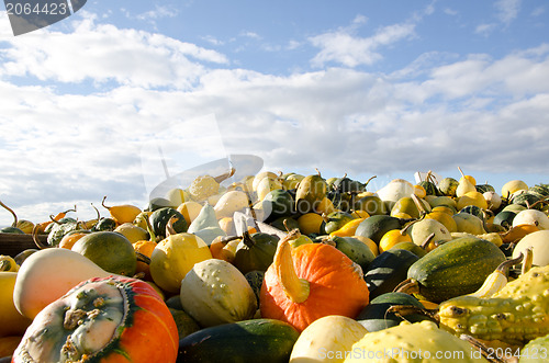 Image of Pumpkins