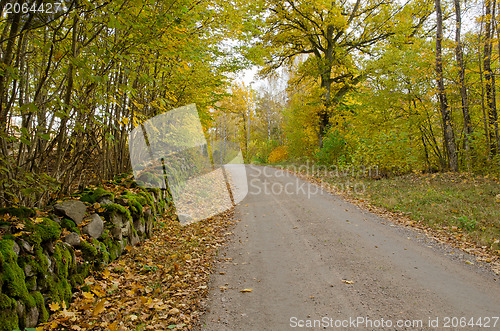 Image of Countryroad