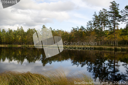 Image of Calm lake