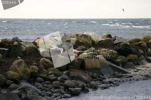 Image of coastline