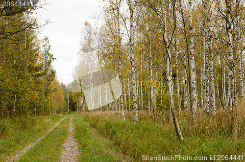 Image of Countryside road