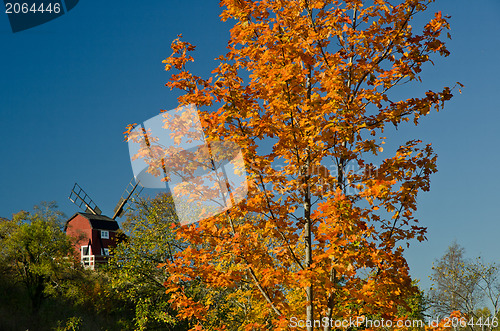 Image of Windmill in autumn