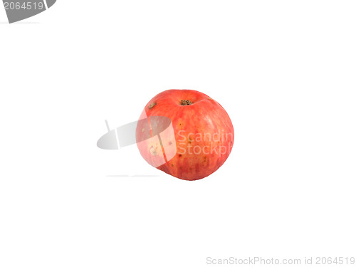 Image of Ripe red apple. Isolated on a white background
